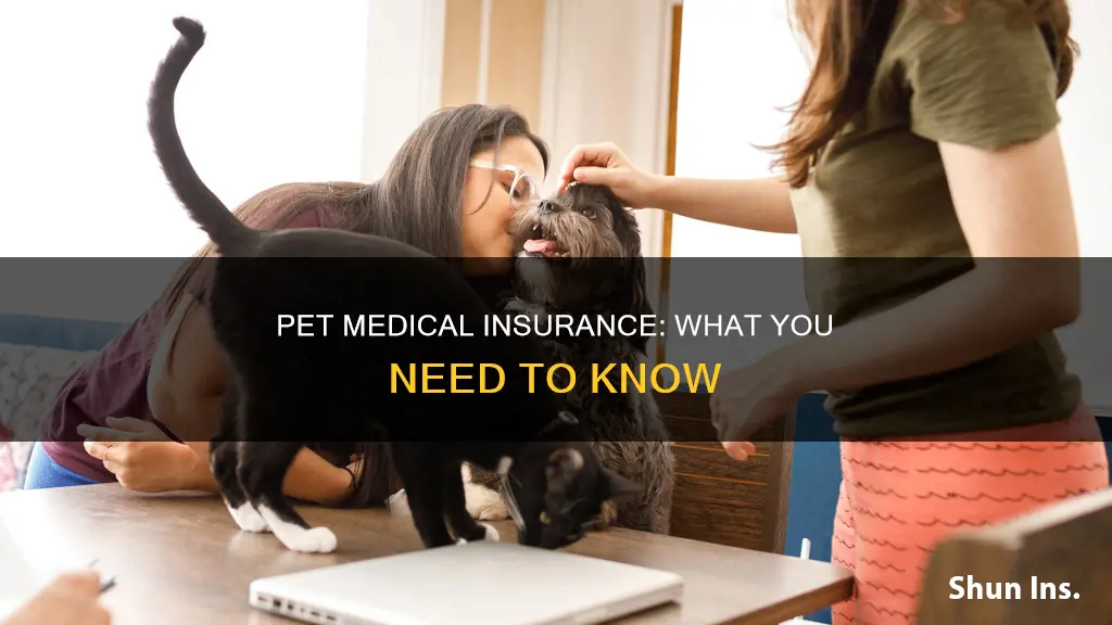 is their pet medical insurance