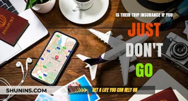Trip Insurance: What If You Don't Go?