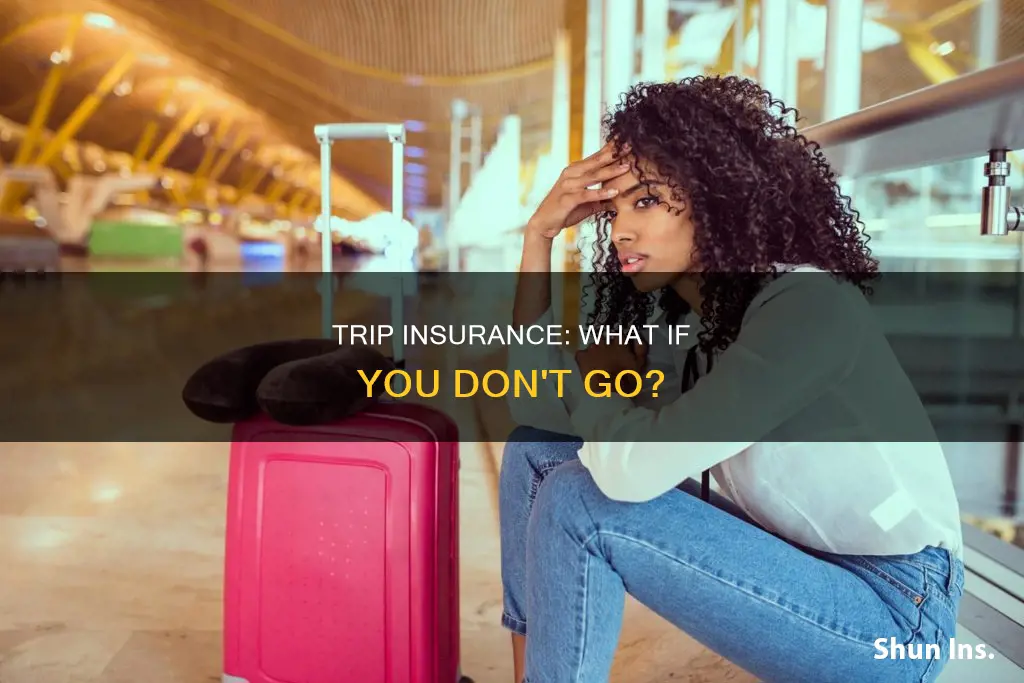 is their trip insurance if you just don