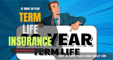 Life Insurance: 30-Year Term Plans and Their Benefits