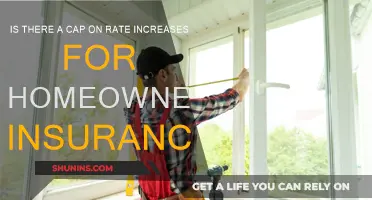 Home Insurance Rate Hikes: Are There Limits?