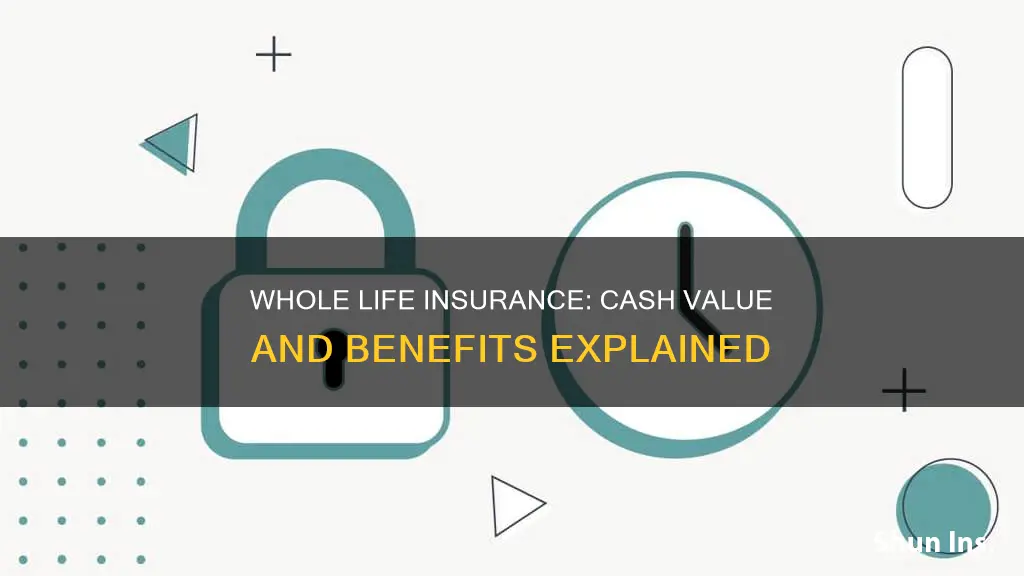 is there a cash value on whole life insurance