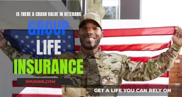 Maximizing Cash Value in Veterans Group Life Insurance