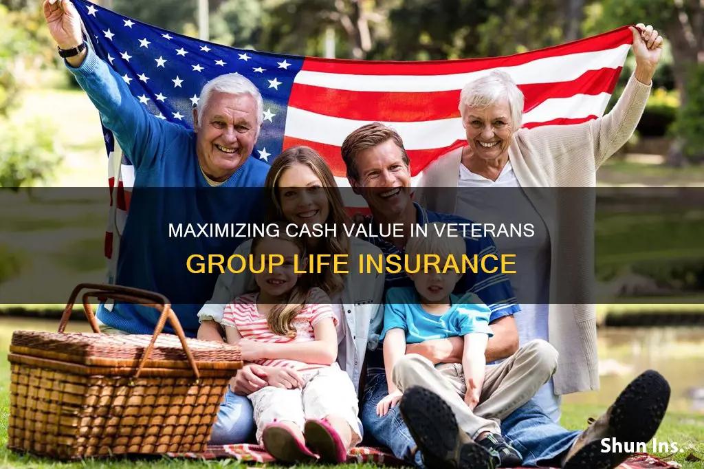 is there a chash value in veterans group life insurance