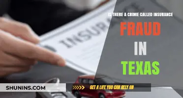 Insurance Fraud: Texas Law and Punishment
