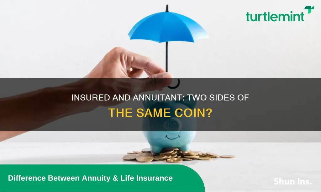 is there a difference between insured and annuitant