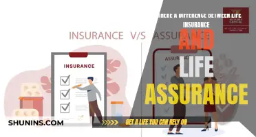 Life Insurance vs. Assurance: What's the Real Difference?