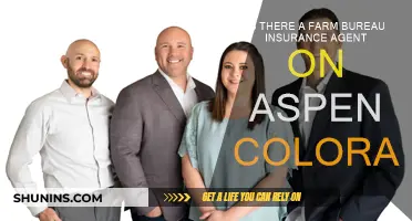Farm Bureau Insurance Agents in Aspen, Colorado: Where to Find?