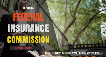 Federal Insurance Commission: Does It Exist?