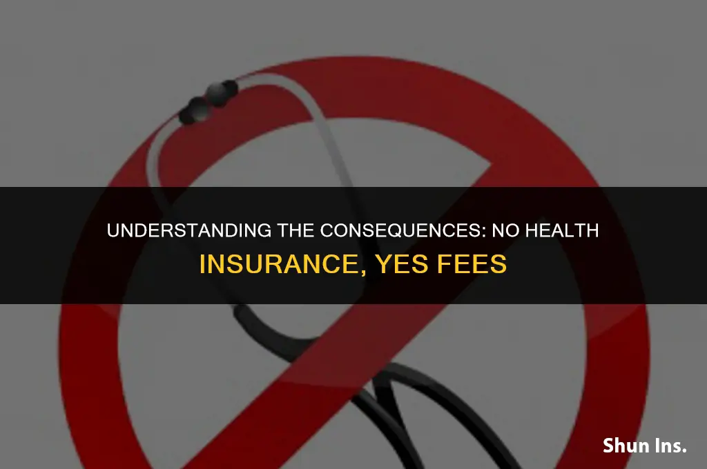 is there a fee for no health insurance