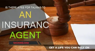 Insurance Agent Consultations: Are They Free?