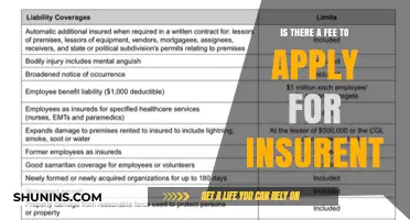 How Much Does Insurent Cost to Apply?