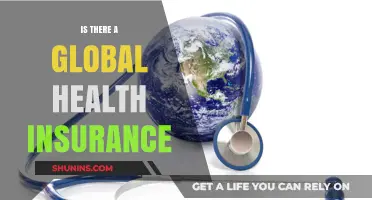 Exploring the Possibility of Global Health Insurance Coverage