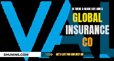 Life and Insurance: Global Companies, Similar Names