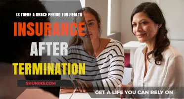 Health Insurance Grace Period: What Happens After Job Termination?
