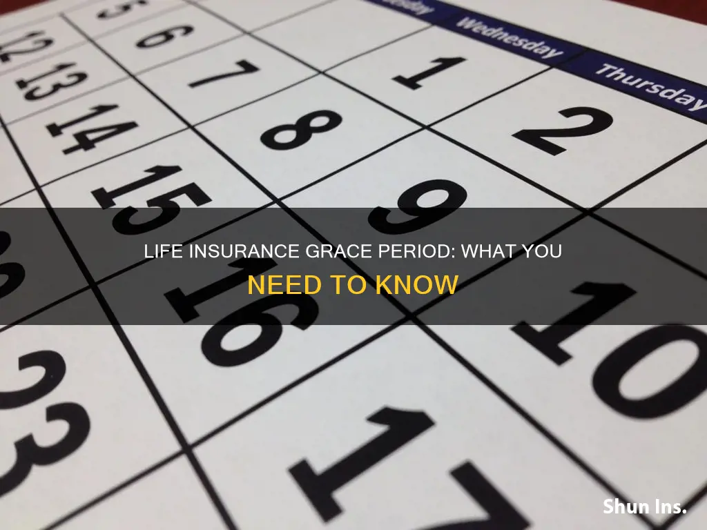 is there a grace period for life insurance