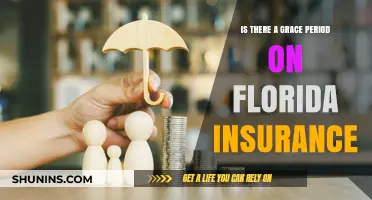 Understanding Grace Periods in Florida Insurance Policies