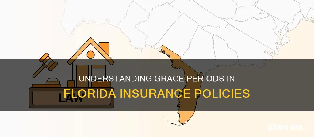 is there a grace period on florida insurance