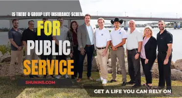 Group Life Insurance: Public Service Benefits Explored