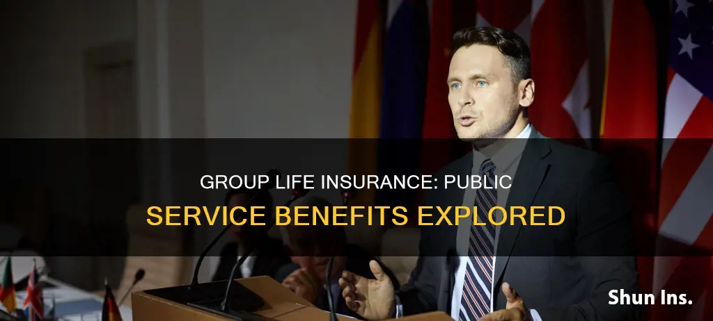 is there a group life insurance scheme for public service