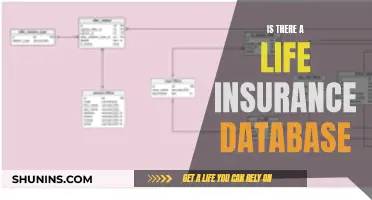 Life Insurance Database: Does It Exist?