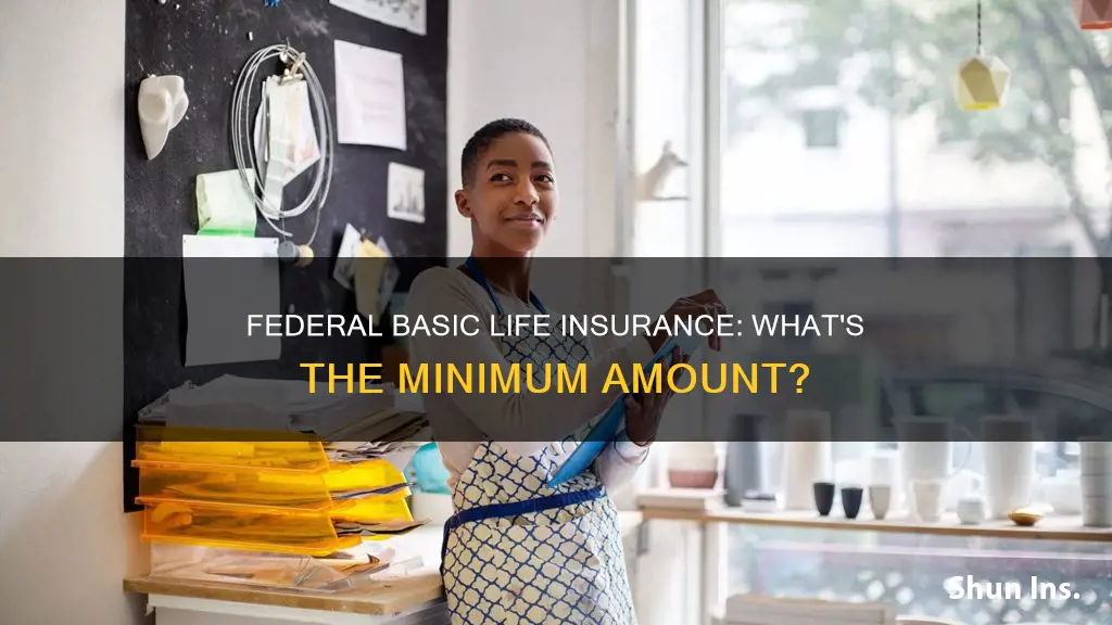 is there a minimum amount for federal basic life insurance