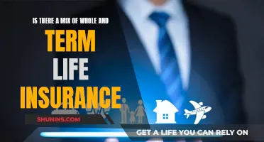 Whole or Term Life Insurance: Which Mix Works?