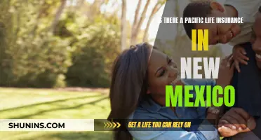 Life Insurance in New Mexico: Pacific Options Explored