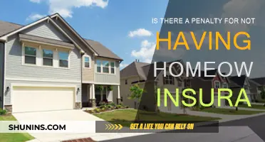 Home Insurance: Is It Mandatory or Optional?