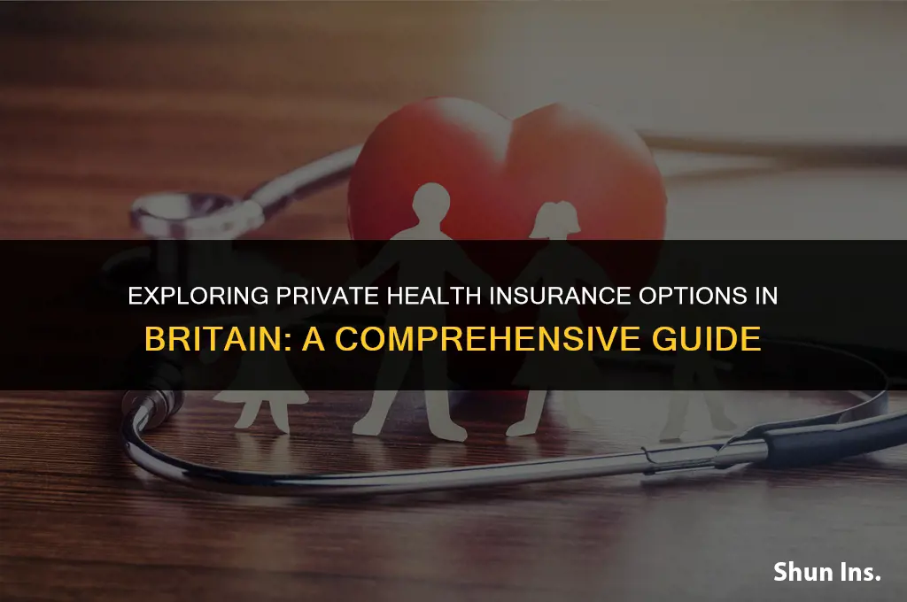 is there a private health insurance in britain