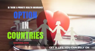 Exploring Private Health Insurance Options Across Different Countries