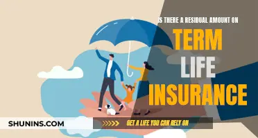 Term Life Insurance: Residual Amounts and Their Impact