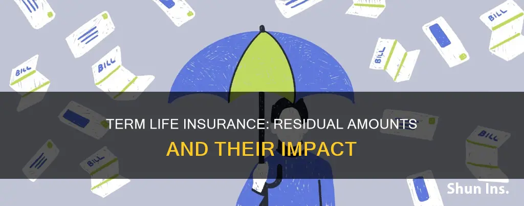 is there a residual amount on term life insurance