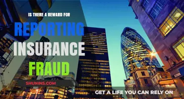 Reporting Insurance Fraud: What's in It for You?