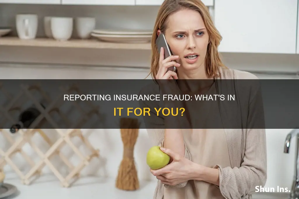 is there a reward for reporting insurance fraud