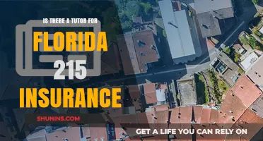 Finding a Tutor for Florida 215 Insurance