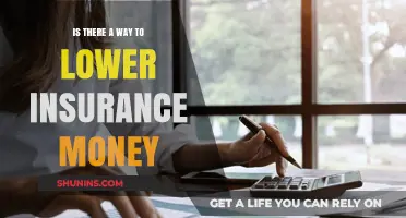 Strategies to Reduce Insurance Costs: Exploring Money-Saving Options