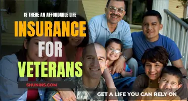 Life Insurance for Veterans: Affordable Options Available