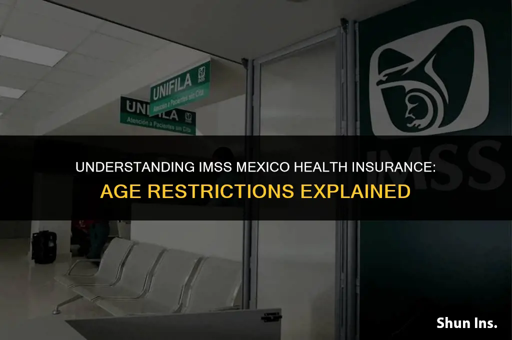 is there an age restriction on imss mexico health insurance