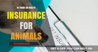 Exploring Pet Health Insurance Options: A Comprehensive Guide