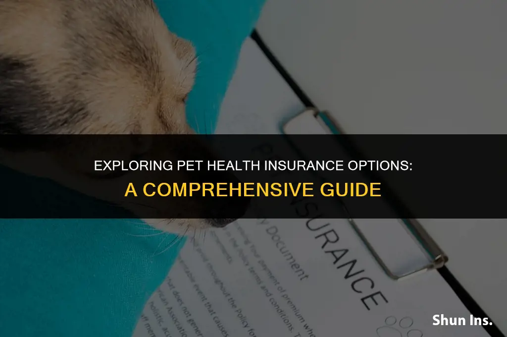 is there an health insurance for animals