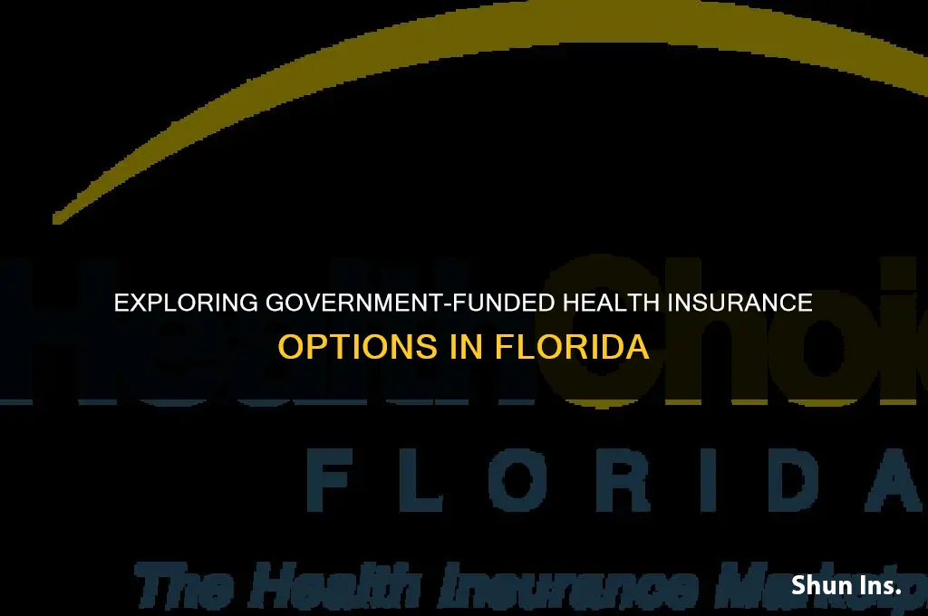 is there any government funded health insurance in flotida