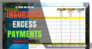 GST and Insurance Excess: What's the Connection?