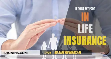 Life Insurance: Necessary Protection or Wasteful Expense?