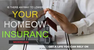 How to Reduce Homeowner Insurance Costs: Tips and Tricks