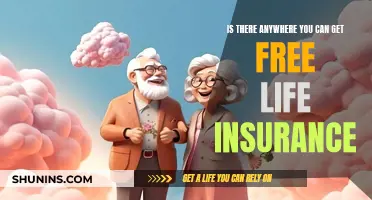 Free Life Insurance: Where to Get It?