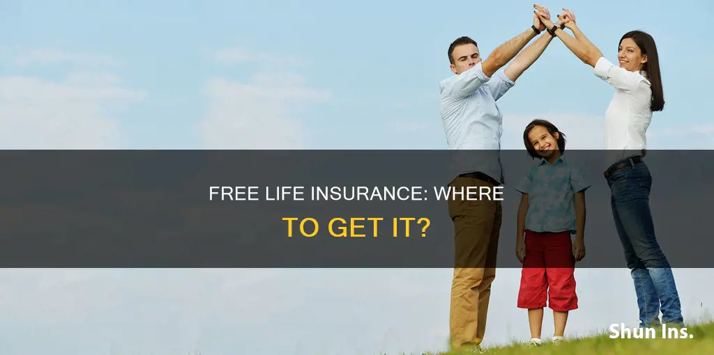 is there anywhere you can get free life insurance