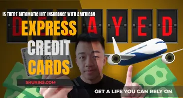 American Express Credit Cards: Life Insurance Benefits Explained