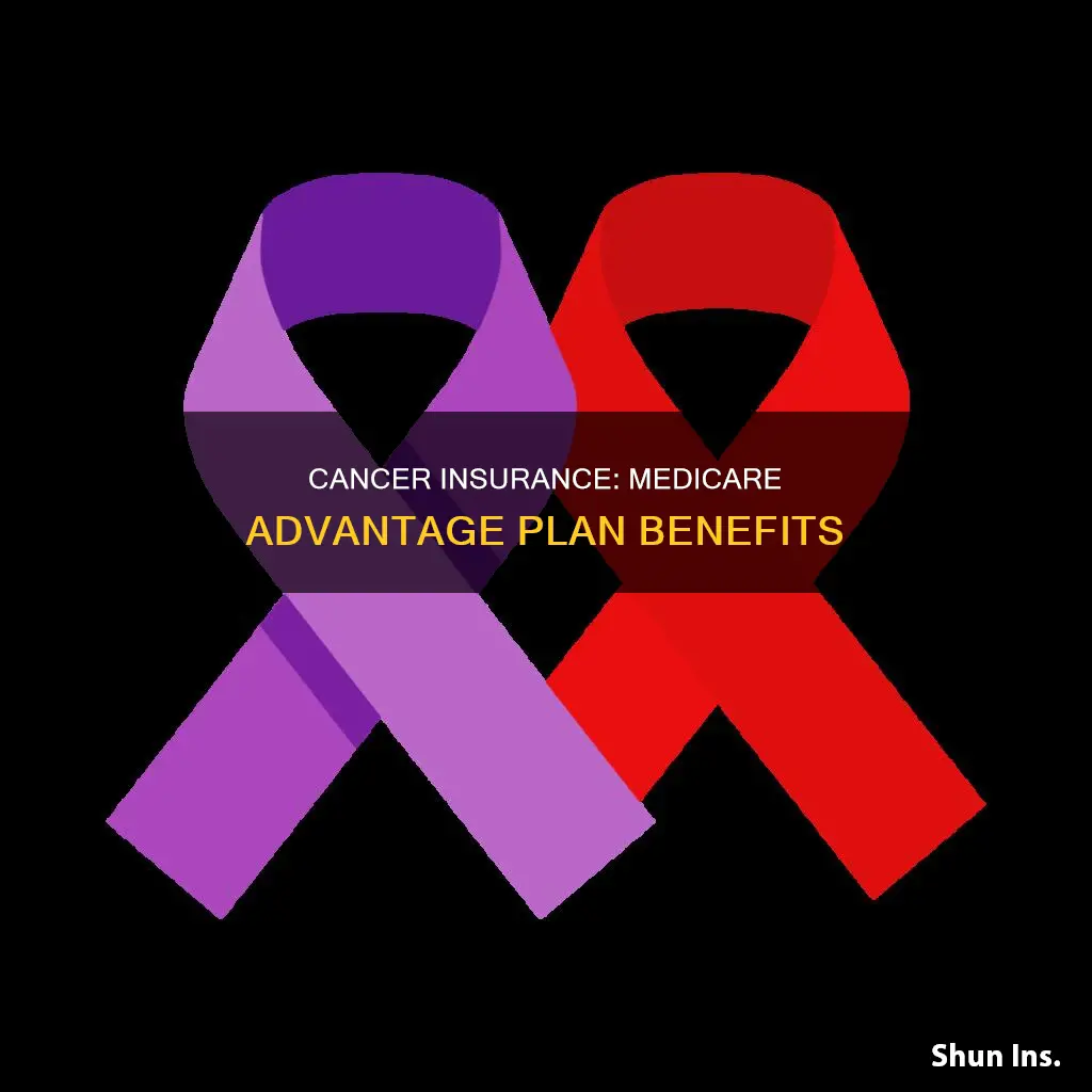 is there cancer insurance for medicare advantage