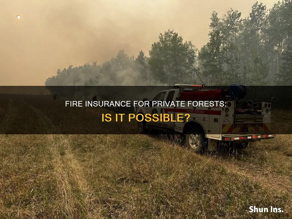 is there fire insurance for private forest